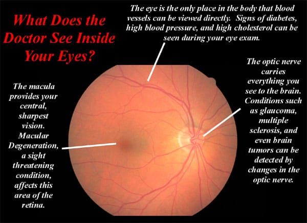 eye technology