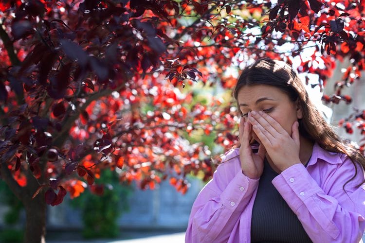 seasonal allergies and your eyes